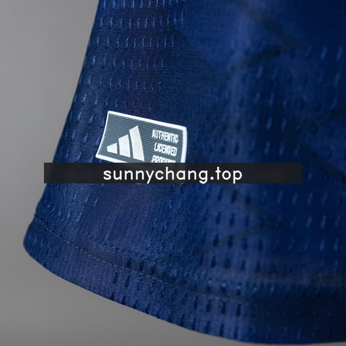 Scotland 2026 Home Player Version Jersey - 图片 4
