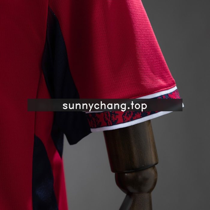 Czech Republic 2026 Home Jersey - 图片 6