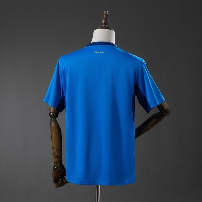 Iceland 2026 Home Jersey - 图片 3