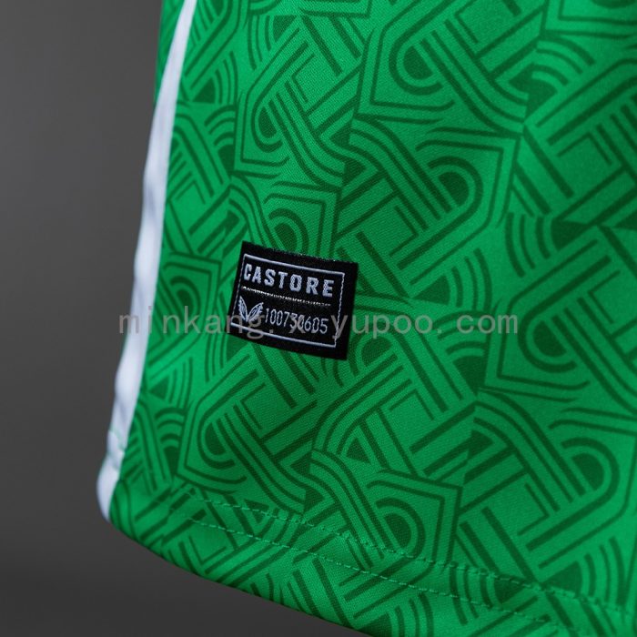 Ireland 2024-2025 Home Jersey - 图片 4