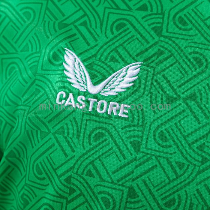 Ireland 2024-2025 Home Jersey - 图片 6