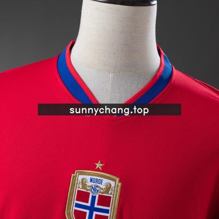 Norway 2026 Home Jersey - 图片 7
