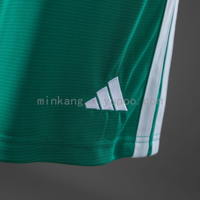 Northern Ireland 2026 Home Shorts - 图片 4