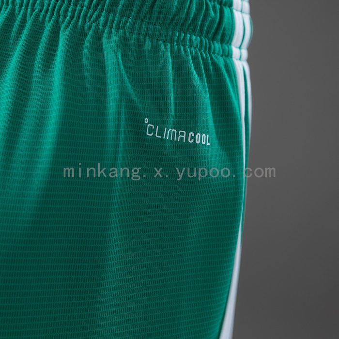 Northern Ireland 2026 Home Shorts - 图片 5