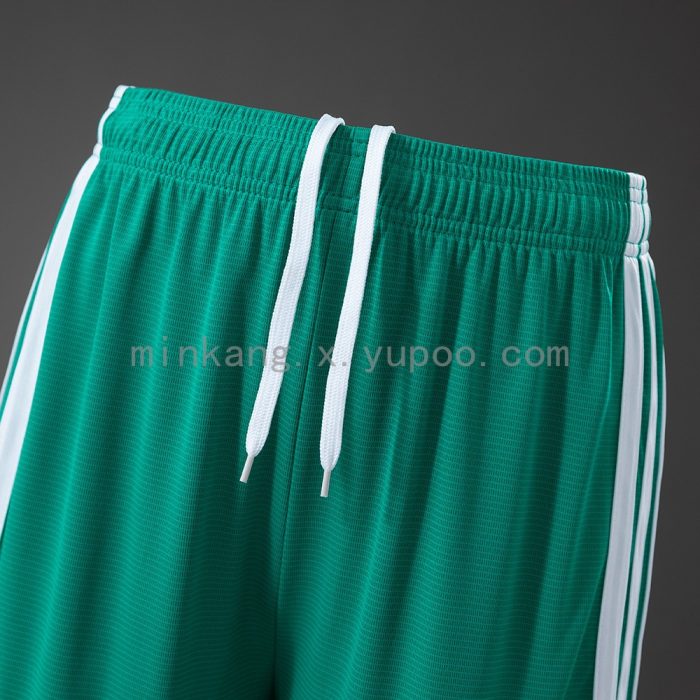 Northern Ireland 2026 Home Shorts - 图片 9