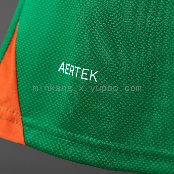 Ireland 2025/2026 Home Player Version Jersey - 图片 5