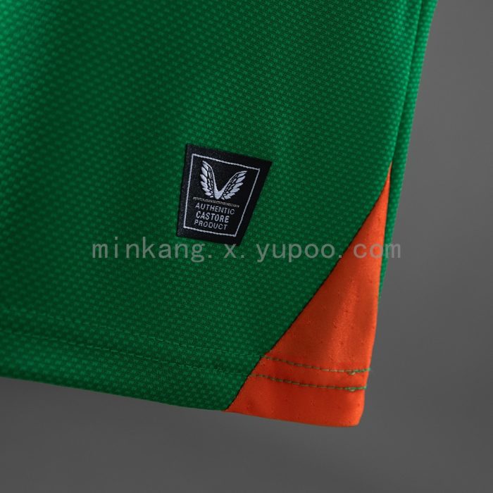 Ireland 2025/2026 Home Player Version Jersey - 图片 6
