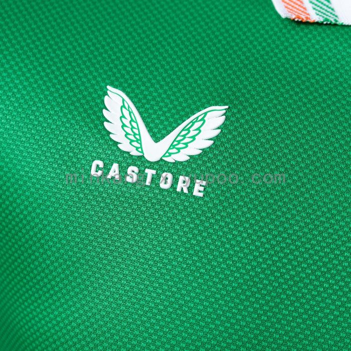 Ireland 2025/2026 Home Player Version Jersey - 图片 8