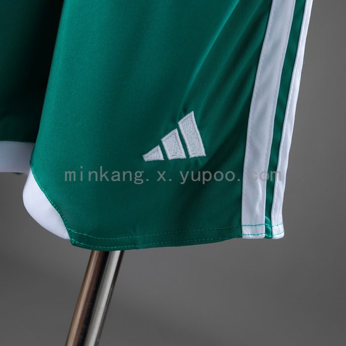 Northern Ireland 2026 Home Kids Jersey - 图片 4