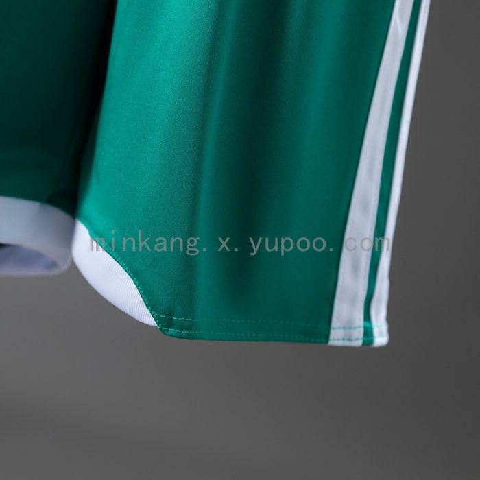 Northern Ireland 2026 Home Kids Jersey - 图片 5