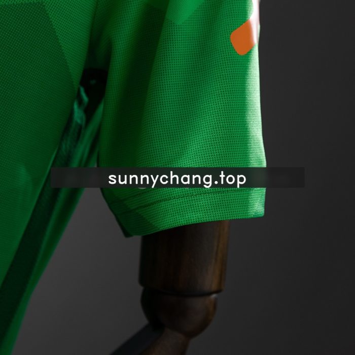 Brazil 2020 Retro Jersey Green - 图片 2