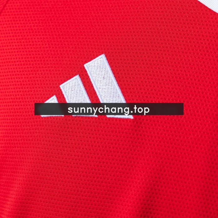25/26 Brazil Internacional Home Jersey All Sponsor - 图片 4