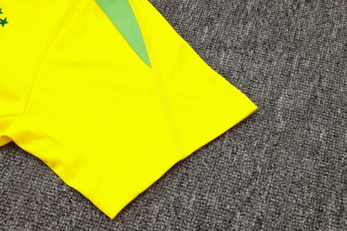 Brazil 24-25 Yellow Short Sleeve Training Shirt - 图片 4