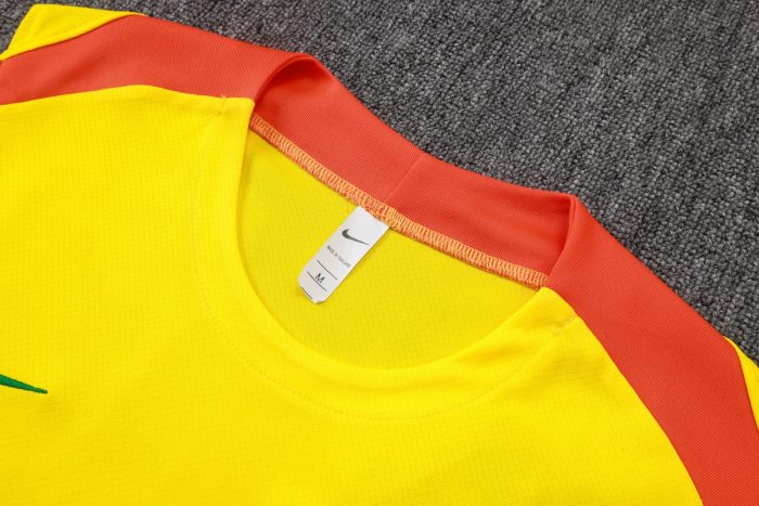 Brazil Yellow Vest - 图片 6