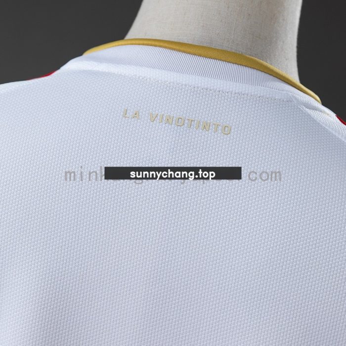Venezuela 2026 Away Jersey - 图片 4