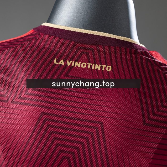 Venezuela 2026 Home Player Version Jersey - 图片 4