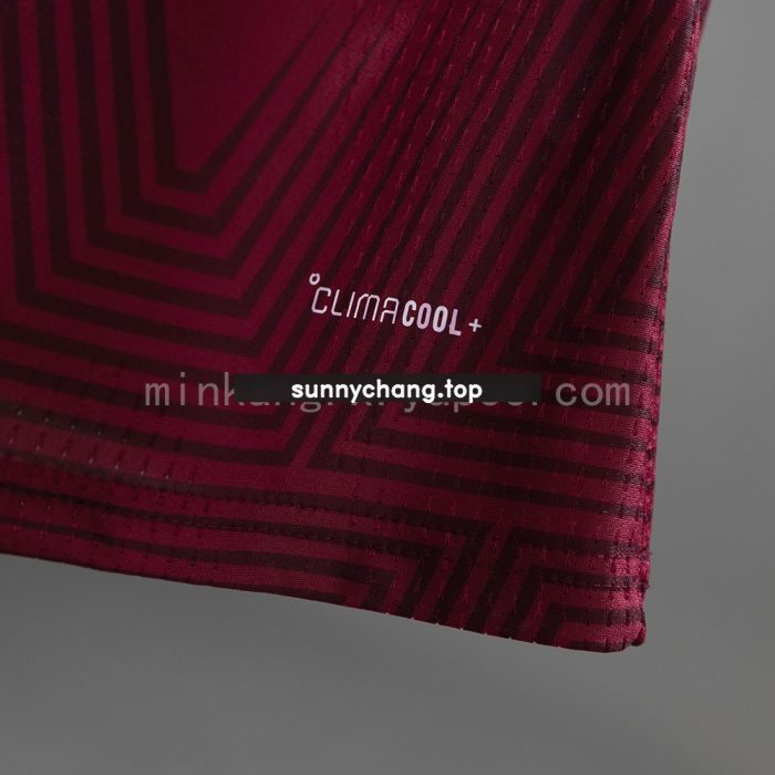 Venezuela 2026 Home Player Version Jersey - 图片 6