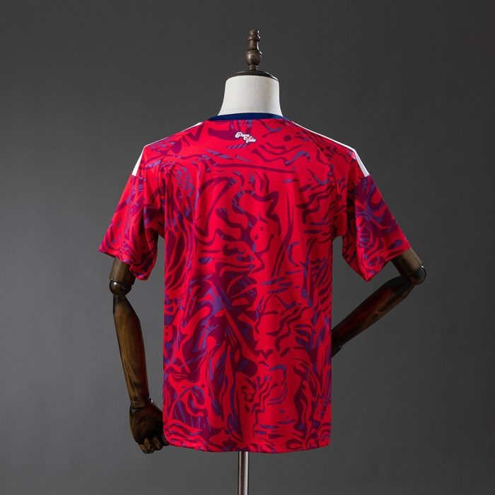 Costa Rica 2026 Home Jersey - 图片 2