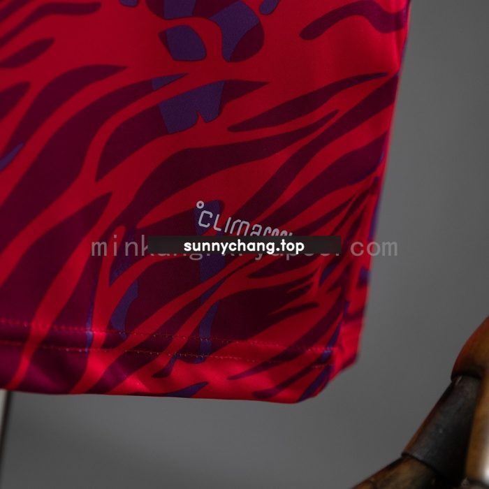 Costa Rica 2026 Home Jersey - 图片 5