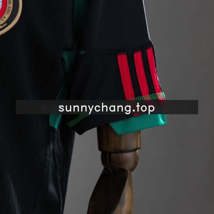 Mexico 2010 Away Retro Jersey - 图片 2