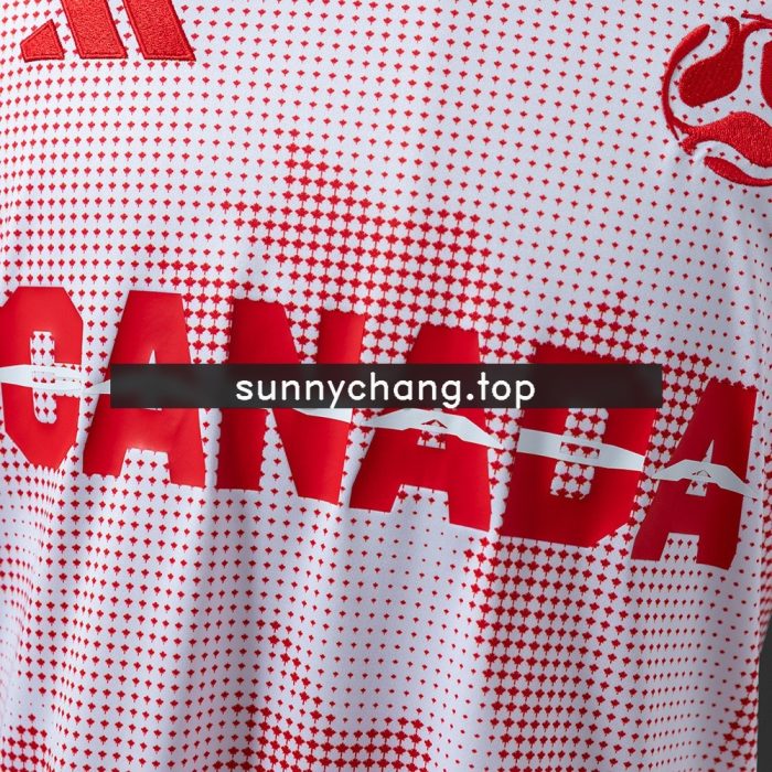 Canada 2026 Pink Jersey - 图片 7