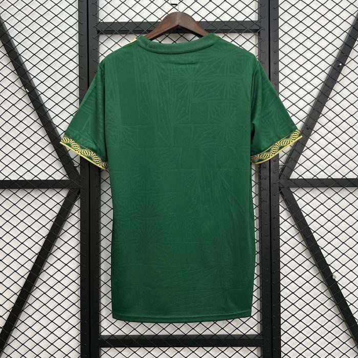 2025 Mexico Special Edition Jersey - 图片 5