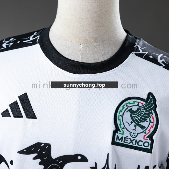 Mexico 2025-2026 Special Edition Jersey - 图片 6
