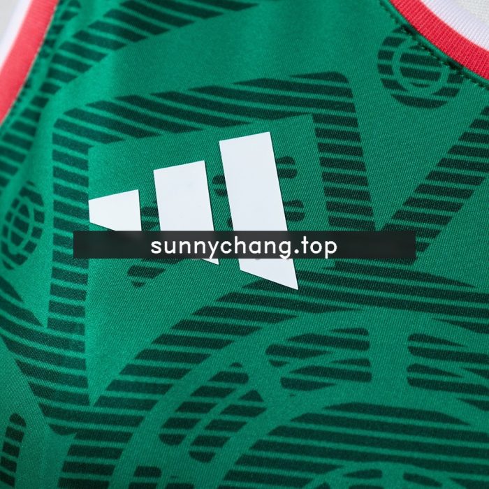 Mexico 2026 Home Women's Vest - 图片 6