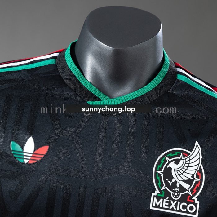 Mexico 2026 Third Away Player Version Jersey - 图片 9