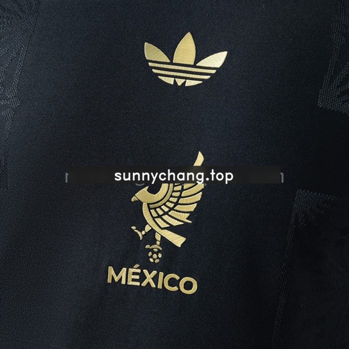 Mexico 2025/2026 Special Edition Black Player Version Jersey - 图片 6