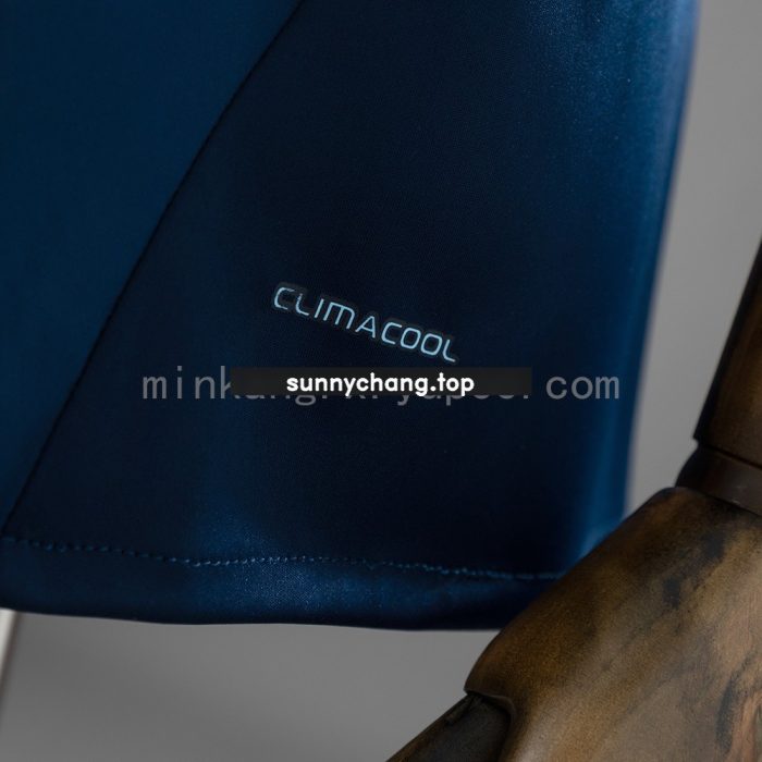 Argentina 2011 Away Retro Jersey - 图片 5