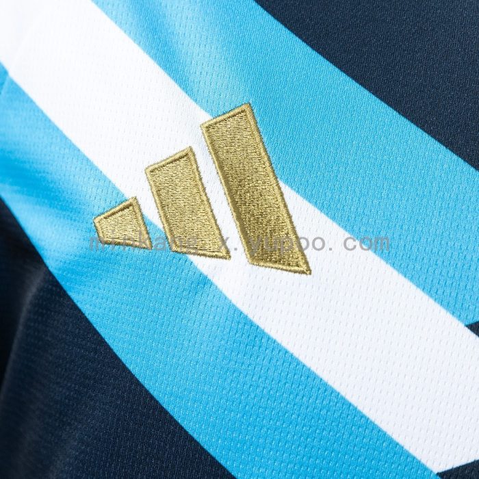 Argentina 2026 Training Jersey - Black - 图片 7