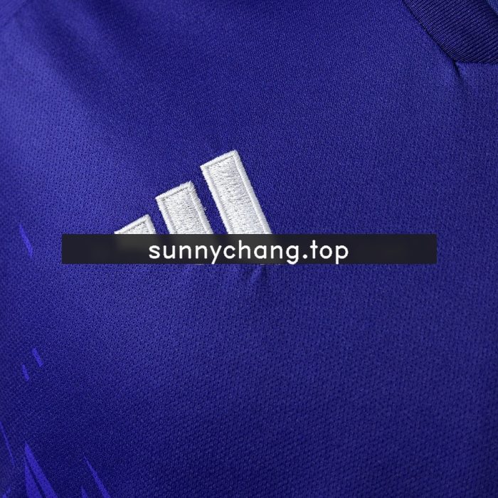 2022 Argentina World Cup Away Jersey - 图片 4