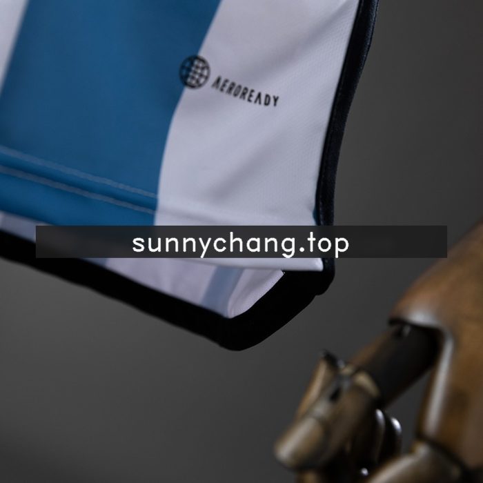 2022 Argentina 3-star World Cup Home Jersey - 图片 2