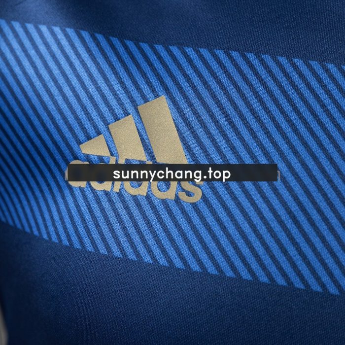 Argentina 2014 Away Player Version Retro Jersey - 图片 3