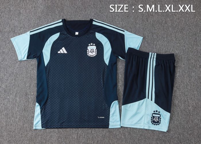 Argentina 26/27 Short Sleeve Training Shirt - 图片 2