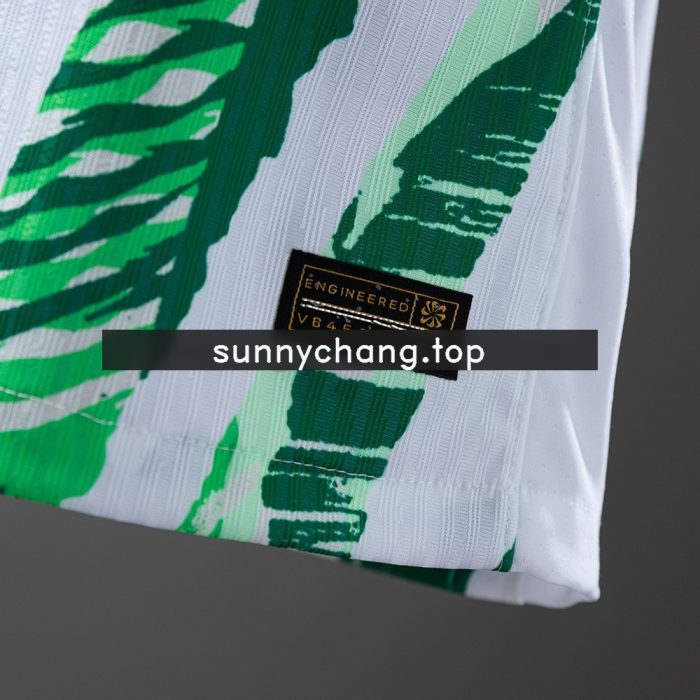 Nigeria 2025 Home Player Version Jersey - 图片 2