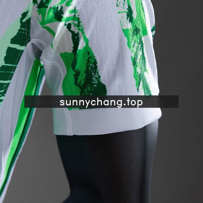 Nigeria 2025 Home Player Version Jersey - 图片 3