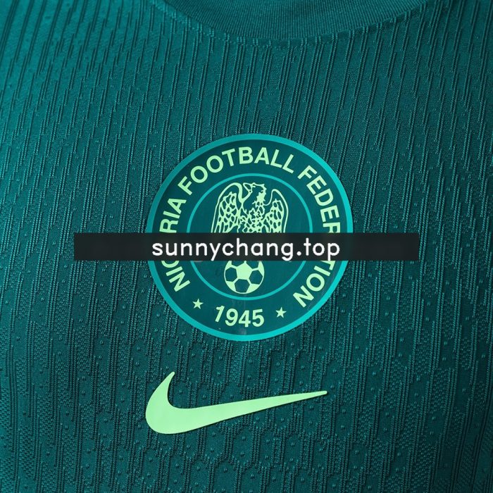 Nigeria 2025 Away Player Version Jersey - 图片 4
