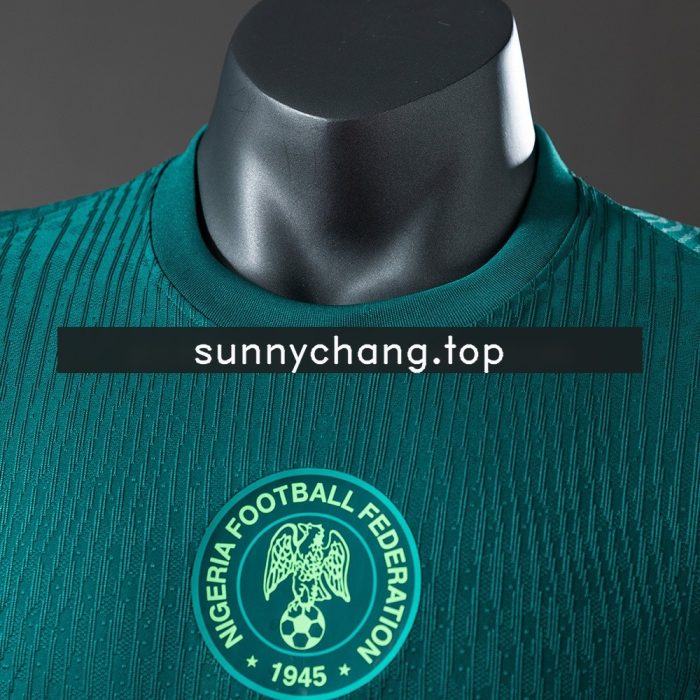 Nigeria 2025 Away Player Version Jersey - 图片 5
