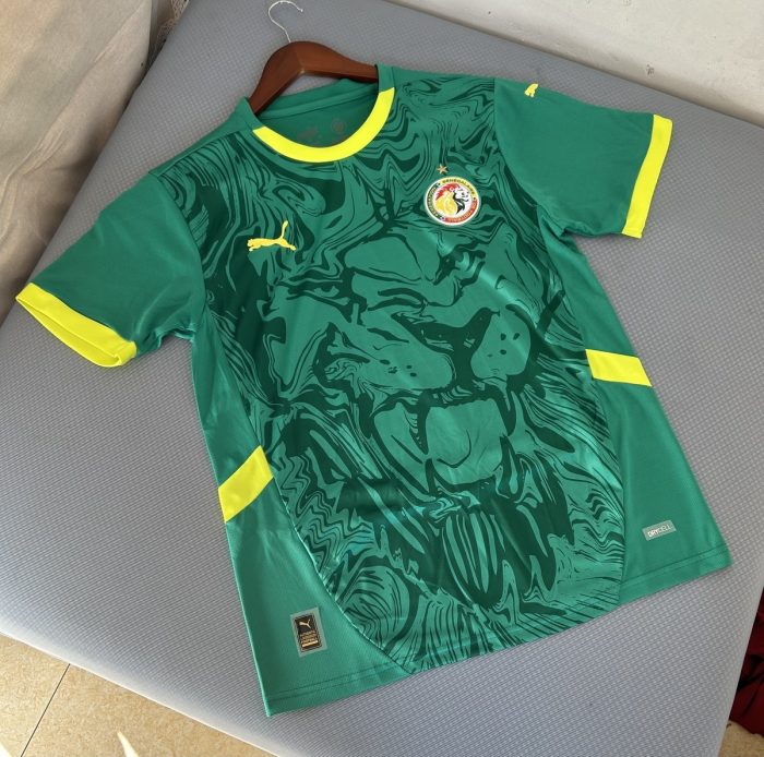 2025 Senegal Away Jersey - 图片 7