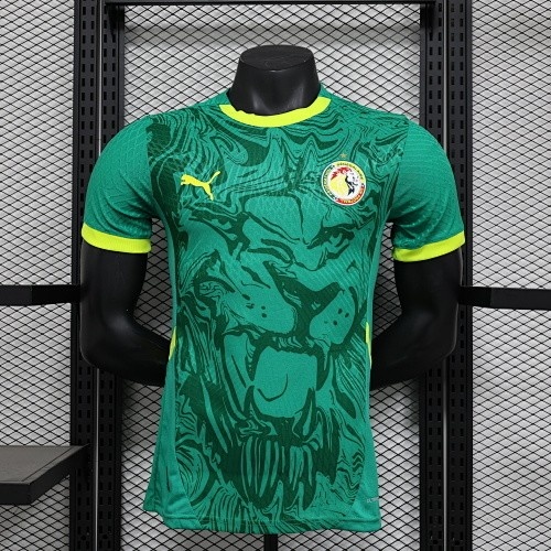 JER-8801_1 2025 Senegal Player Version Green Jersey - 图片 1