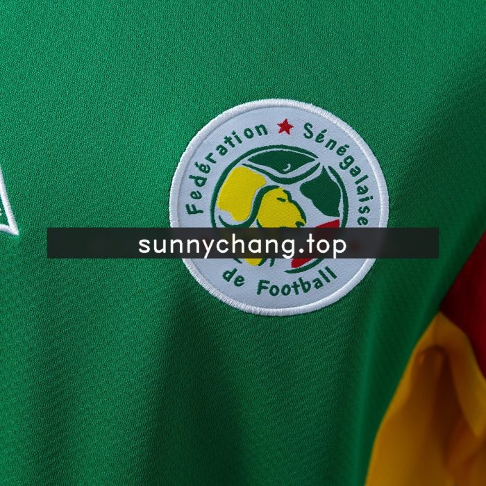 Senegal 2002 Away Retro Jersey - 图片 4