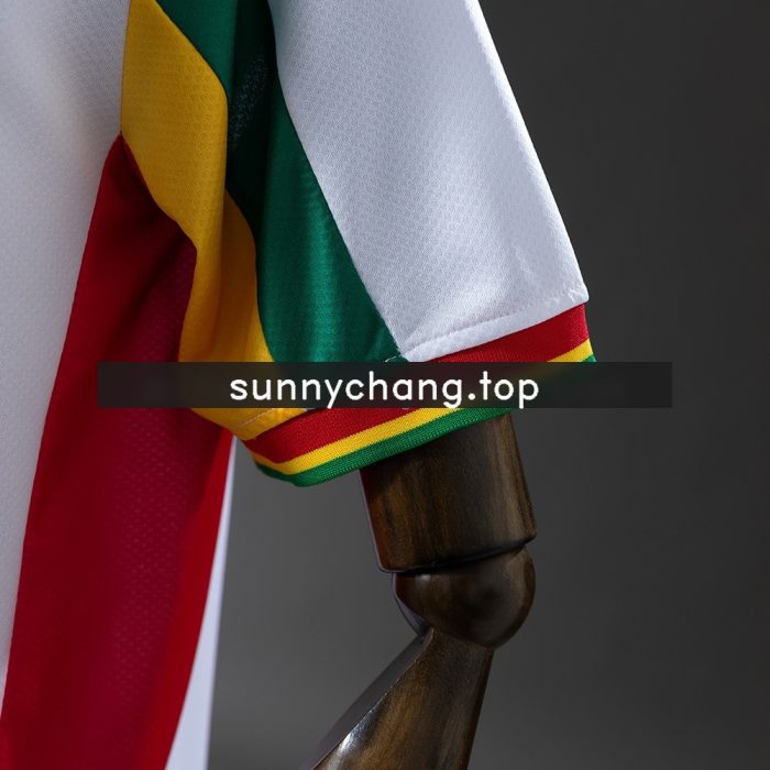 Senegal 2002 Home Retro Jersey - 图片 2