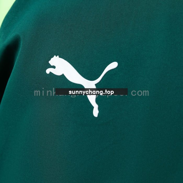 Senegal 2026 Windbreaker - Dark Green - 图片 7
