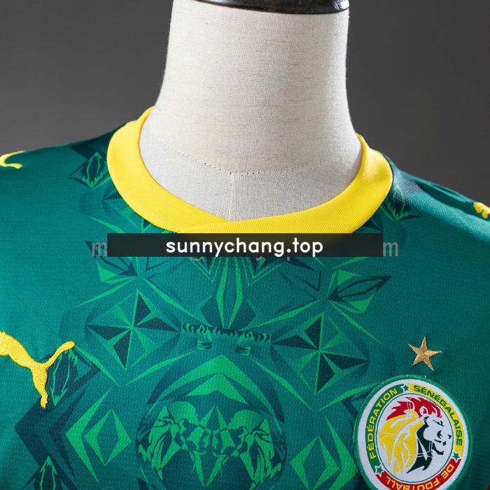 Senegal 2026 Away Jersey - 图片 9