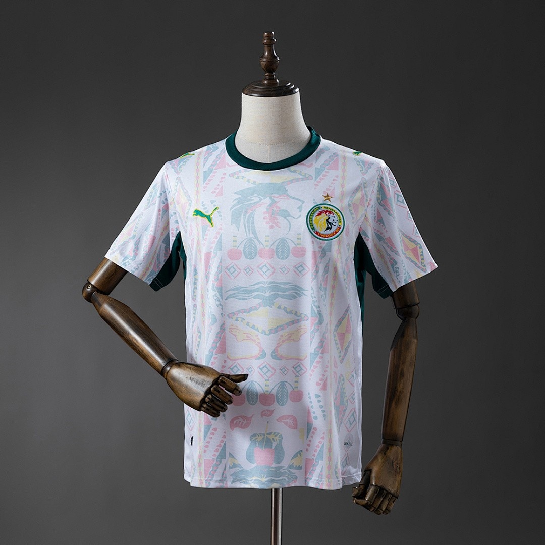 JER-8814_1 Senegal 2026 Home Jersey - 图片 1