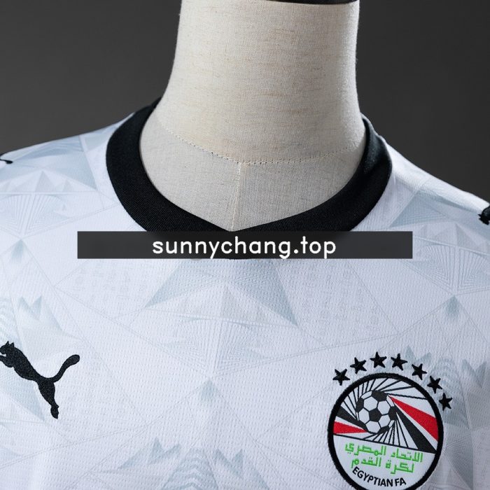 Egypt 2026 Away Jersey - 图片 9