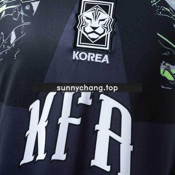 South Korea 26/27 Goalkeeper Jersey - 图片 8