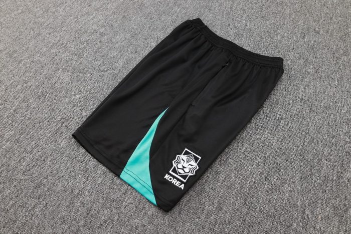 South Korea 24-25 Short Sleeve Training Shirt Blue - 图片 2